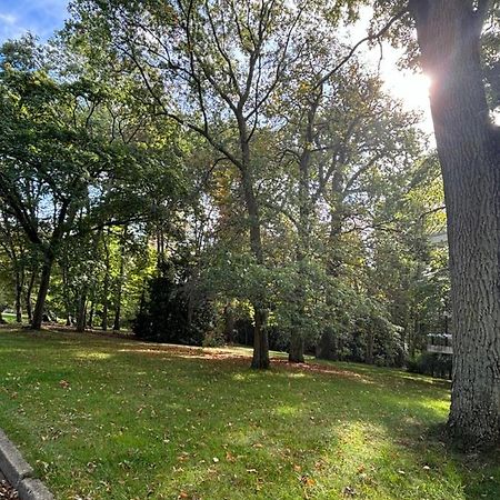 Appartement Ecrin De Verdure Au Chesnay Et Parking Gratuit à Le Chesnay  Extérieur photo